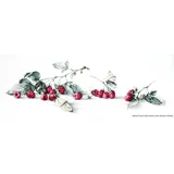 Luca-S Kreuzstichset Himbeeren mit Schmetterling, Zählmuster, 59x20cm