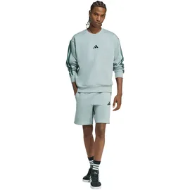 adidas Sweatshirt Wonder Sage/Collegiate Green XL