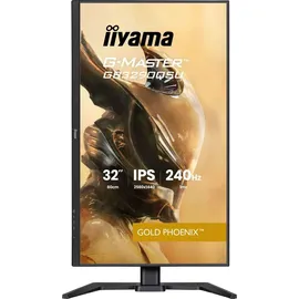 Iiyama GB3290QSU 80cm 31,5"