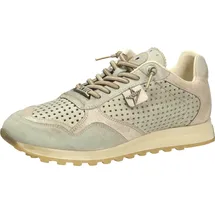 CETTI Sneaker Low Herren Grün 43