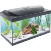 Starter Line 54 L Aquarium Komplett-Set - inkl. Tag- & Nachtlicht LED-Beleuchtung, Innenfilter, Heizer, Fischfutter und Wasseraufbereiter