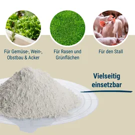 zeolith-100 0,5-1,0 mm) - 10 kg, Sack