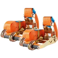 Baumarktplus 2x Profi Ratschen Spanngurt Spanngurte Zurrgurt 2-tlg 5m