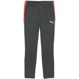 Puma Herren IndividualLIGA Training Pants, Größe XXL Shadow Gray-PUMA White-Glowing Red