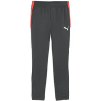 Puma Herren IndividualLIGA Training Pants, Größe XXL Shadow Gray-PUMA White-Glowing Red
