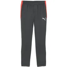 Puma Herren IndividualLIGA Training Pants, Größe XXL Shadow Gray-PUMA White-Glowing Red