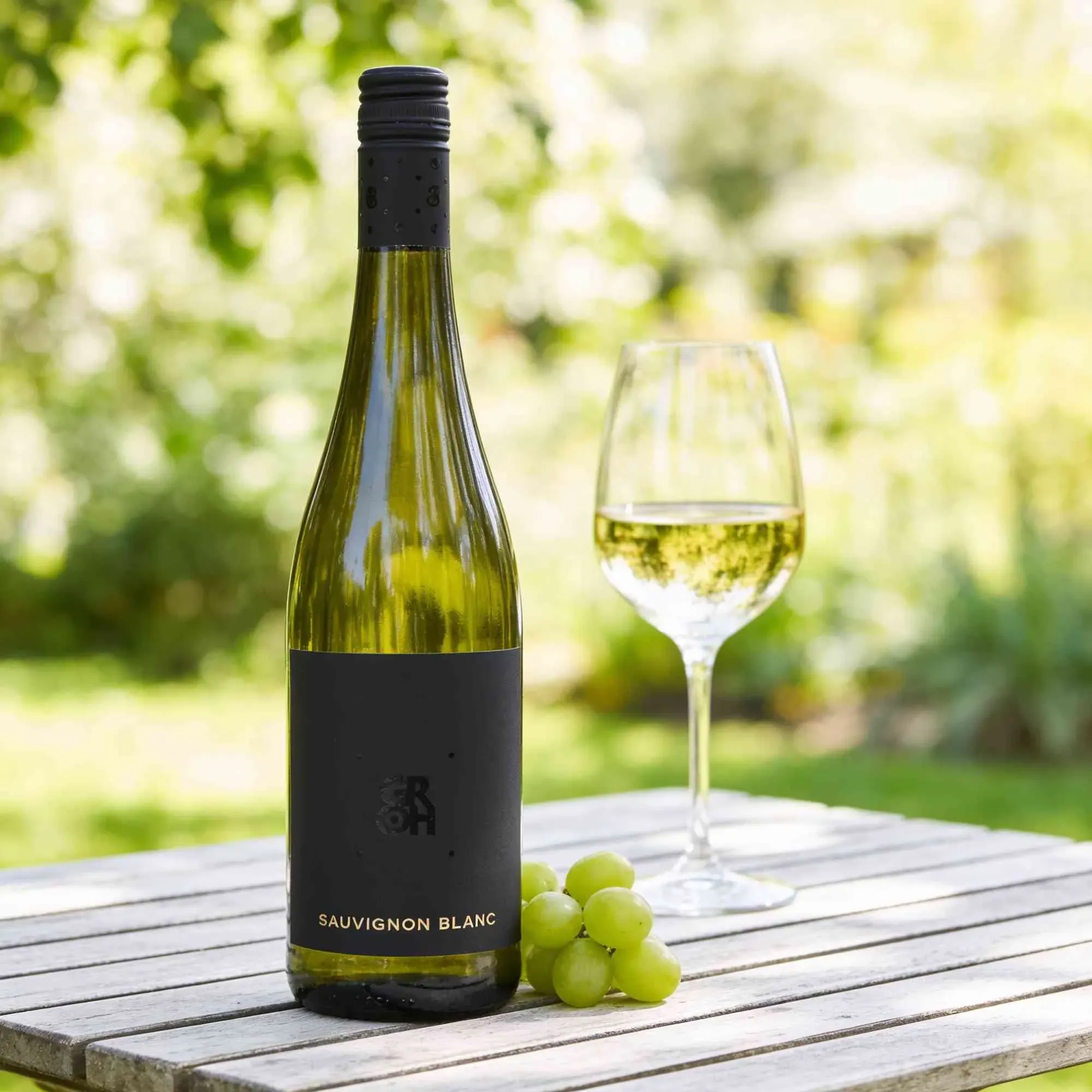 Weingut Groh 2023 Groh Sauvignon Blanc 2023 Sauvignon Blanc Deutschland
