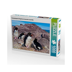 CALVENDO Puzzle CALVENDO Puzzle Felsenpinguine (Pingüinos de penac, 1000 Puzzleteile