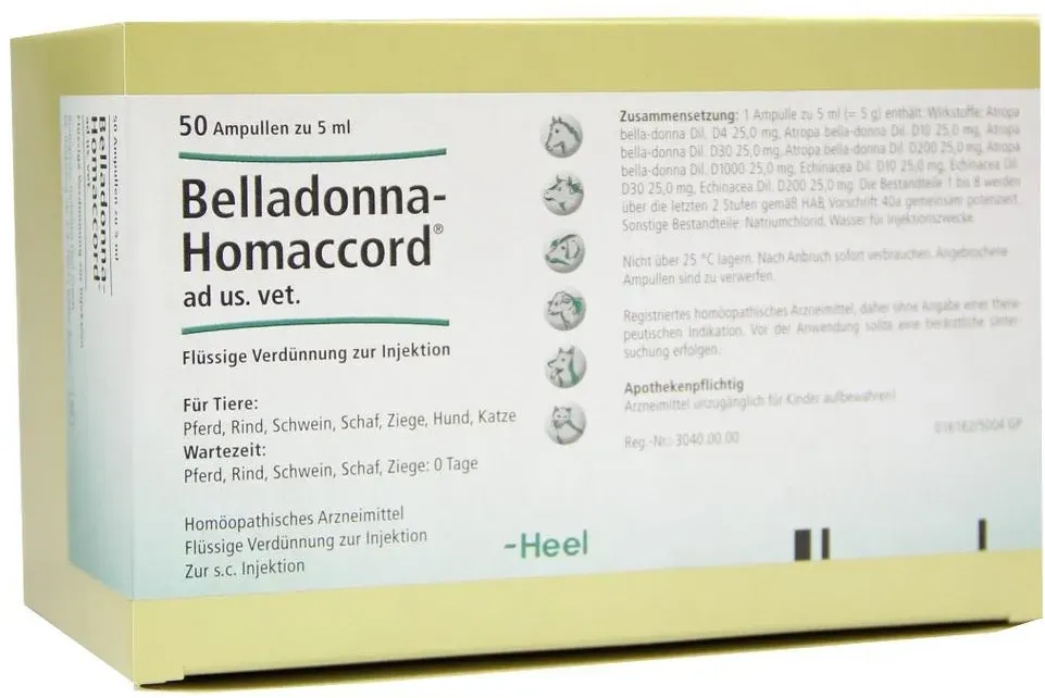 Belladonna Homaccord ad us.vet.Ampullen 50 St