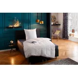 Hanse by RIBECO Daunenbettdecke + Federkissen »Jonas«, 2x 155x220cm + 2x 80x80cm,