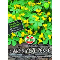 SPERLING Kapuzinerkresse Kanarische Kresse) SPERLING'S Goldranke