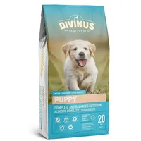 DIVINUS Welpe 20kg