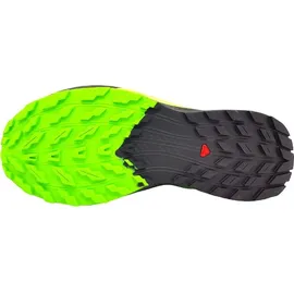 Salomon Sense Ride Herren Flint Stone/Black/Green Gecko 42