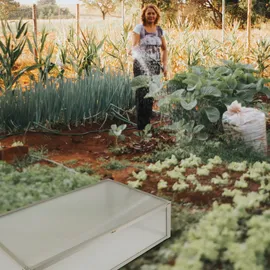 NATIV Frühbeet aus Aluminium