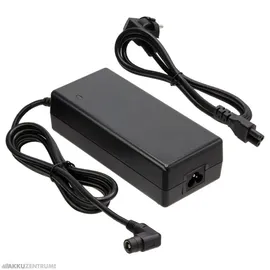 Phylion Li-Ion Akku-Ladegerät DC29,4V / 1,4A - 2-polig (Chinch)