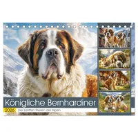 Calvendo Königliche Bernhardiner. Die sanften Riesen der Alpen (Tischkalender