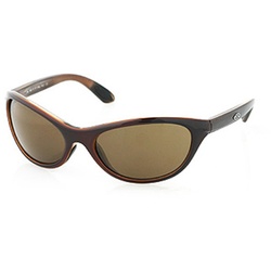 SMITH CORTEZ Sonnenbrille coffee/brown