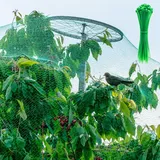 Vogelschutznetz Balkon Gartennetz Pflanzenschutznetz Obstbaumnetz 4x6m 20 Stück