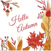 Paper+Design HOME FASHION Papierserviette 20 Servietten Hello Autumn, 33x33cm, (20 St), braun|orange|weiß