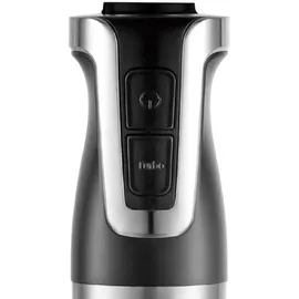 Royalty Line RL-ESTM800 Stabmixer