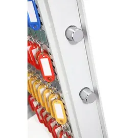 Phoenix Cygnus Key KS0033E