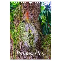 Calvendo Baumseelen (Wandkalender 2026 DIN A4 hoch), CALVENDO Monatskalender