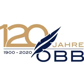 OBB Daunendecke 120 Jahre Winterdecke Kassettendecke warm Größe 155x220 cm