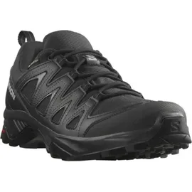 Salomon X Braze Gore-Tex Black / Black / Phantom 42