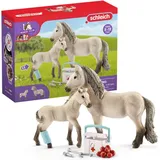 Schleich Horse Club Hannahs Erste-Hilfe-Set