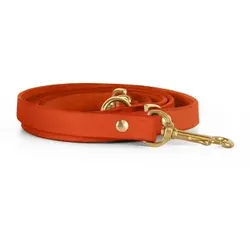 THE DOG IDEA Echtleder Hundeleine Orange XS-S