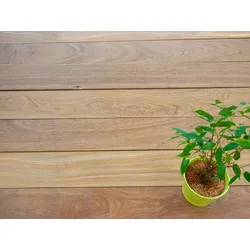 Cumaru Terrassendielen, 21x145mm, KD, glatt/glatt *Kurzlänge*