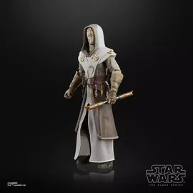 Star Wars Jedi-Tempel-Wächter Actionfigur 15 cm - Grau/Schwarz/Mehrfarbig