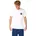 optical white M