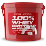 Scitec Nutrition 100% Whey Protein Professional Erdbeere-Weiße-Schokolade Pulver 5000 g