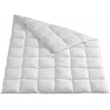 Traumschlaf Daunendecke Arktis medium, Füllung: 90% Daunen, 10% Federn 135x200 cm