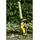 Stanley SFMCHT855B 55 cm ohne Akku