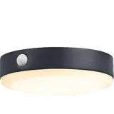 LEDVANCE LED Solar Endura STYLE 6W 650lm Schwarz