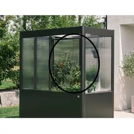 Biohort Rankhilfe für Gewächshaus Florentina Schwarz