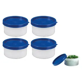 Westmark Trio transparente Kräuterdosen 4-teilig 0,1 l