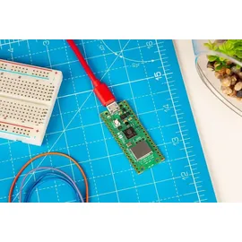 Raspberry Pi Pico 2 W Mikrocontroller PICO 2W