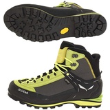 Salewa Crow GTX Herren cactus/sulphur spring 40