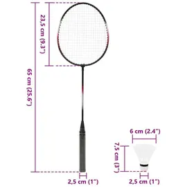 vidaXL Badminton-Set mit 2 Schlägern, Netz & Tasche