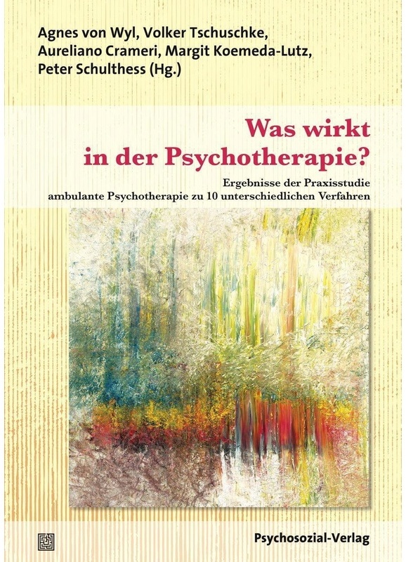 Was Wirkt In Der Psychotherapie?  Kartoniert (TB)