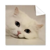 DIYthinker Katze Weiße Kitty Haustier-Tier Entspannen Brillenputztuch-Reinigungstuch Geschenk Telefon Screen Cleaner 5pcs Weiss