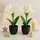 I.GE.A. Kunstblume I.GE.A. "Amaryllis im Topf", weiß, B:17cm H:28cm L:14cm, Polyester, Kunstpflanzen, 2erSet Blume Weihnachtsblume Weihnachtsdeko Winterblume Floristik Deko