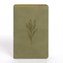 Holman Bibles CSB Personal Size Bible, Sage Suedesoft Leathertouch