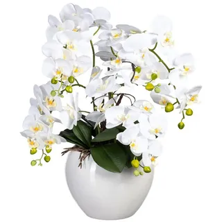 fuchs versand 24/7 Kunstpflanze Phalaenopsis Höhe: 56 cm weiß