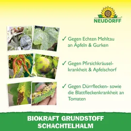 NEUDORFF BioKraft Grundstoff Schachtelhalm AF Spray 500 ml