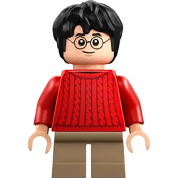 LEGO® - Harry Potter - hp551 - Harry Potter (76454)