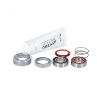 DT Swiss Service-/Upgrade-Kit Ratchet EXP